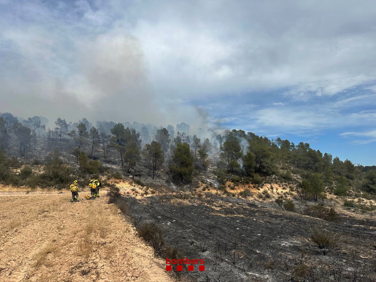 33 dotacions terrestres dels Bombers i 9 d'aèries treballen un incendi a Batea que afecta sobretot territori aragonès