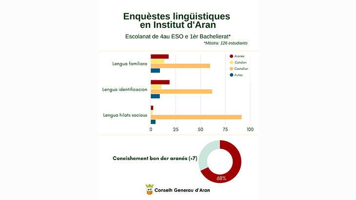 Una enquesta a estudiants de la Val d'Aran revela el "baix i preocupant" ús social de l'aranès