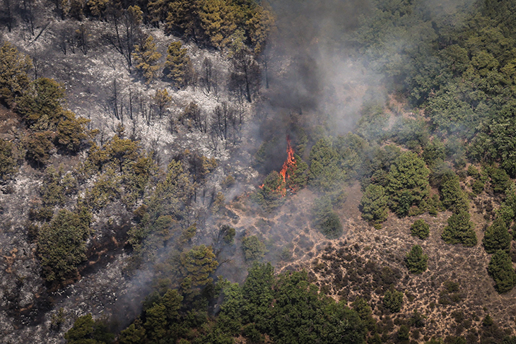 incendi de Peramola