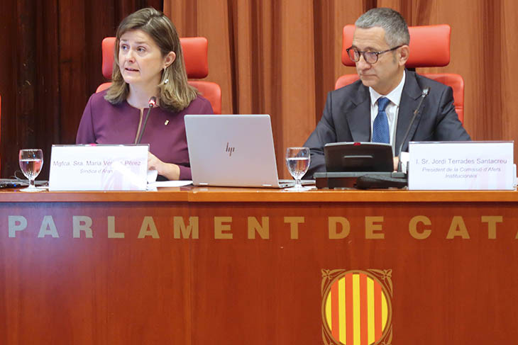 La síndica d'Aran aborda al Parlament la crítica situació de la llengua de la Val i demana més recursos per revertir-la