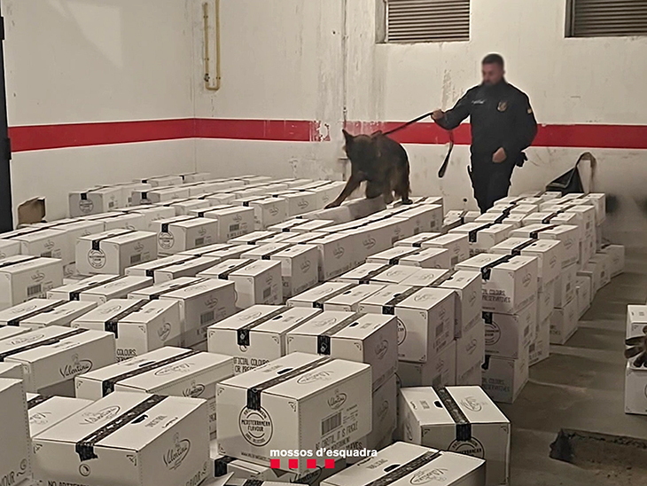 Detingut al Pont de Suert el conductor d'una furgoneta carregada amb 55 quilos de marihuana valorada en 350.000 euros