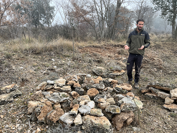 Neix la iniciativa 'Apadrina un conill de bosc' per millorar la biodiversitat del Pallars Jussà