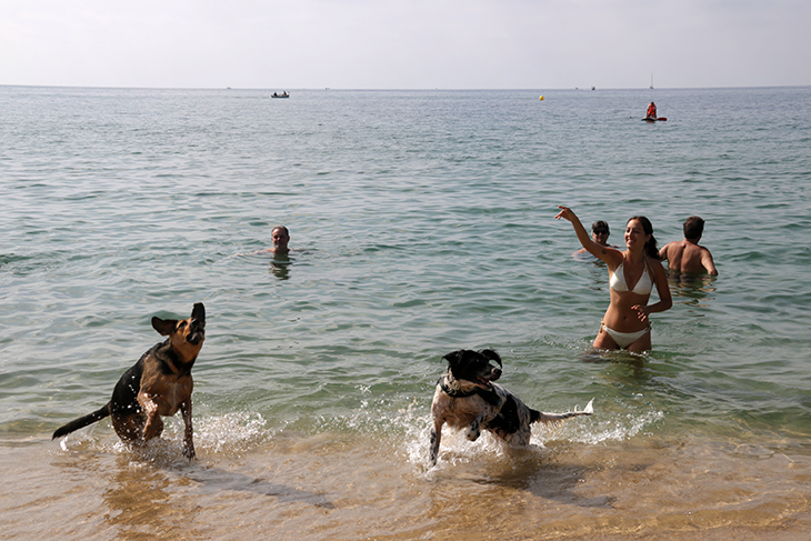 El Maresme aposta pel 'pet friendly' per atraure visitants