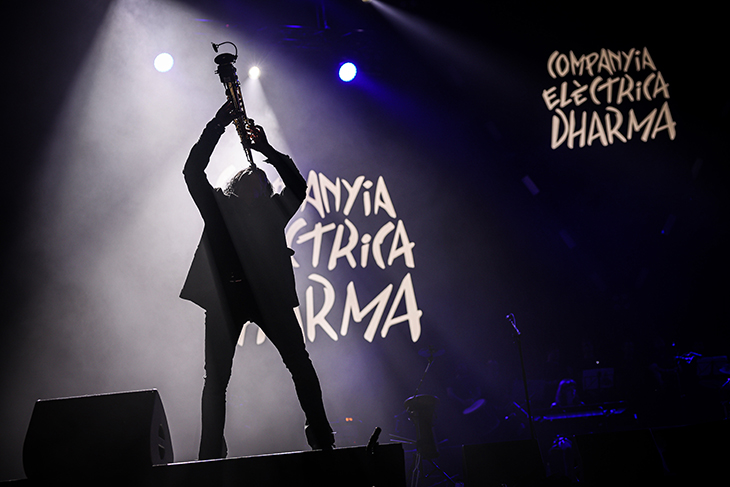 La Companyia Elèctrica Dharma fa vibrar el Palau Sant Jordi en el concert dels 50 anys