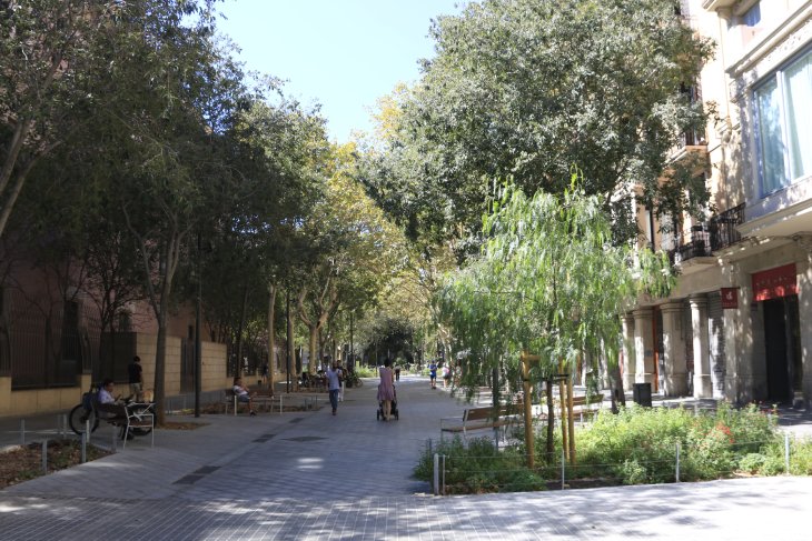 Barcelona aprova desenvolupar un pla per mantenir i replantar la flora dels eixos verds