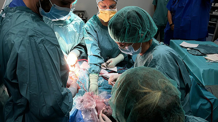 L'Hospital Sant Pau incorpora la reanimació neonatal amb el cordó umbilical intacte com a nou protocol