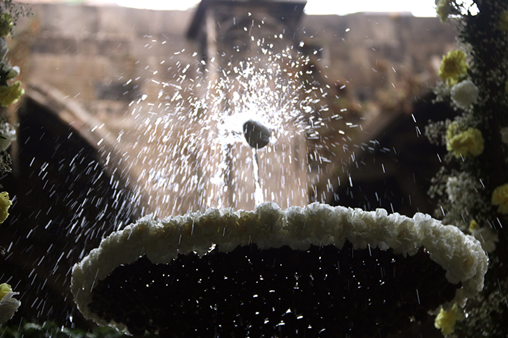L’ou com balla s’adapta a la sequera i només utilitza aigua si funciona amb un circuit tancat