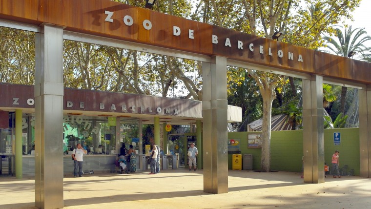 El Zoo provarà un sistema de filtres naturals per reutilitzar l'aigua sobrant de la neteja de les instal·lacions