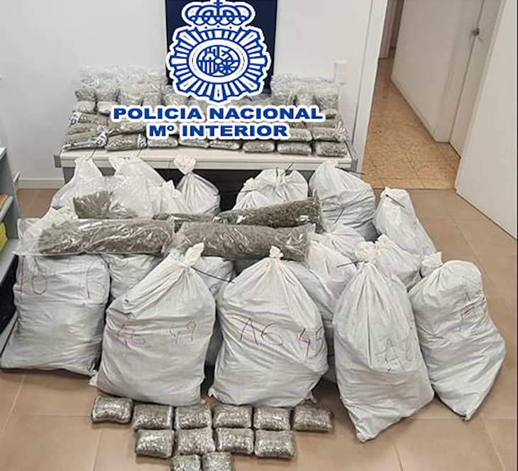Desmantellen un cultiu amb 1.118 plantes de marihuana