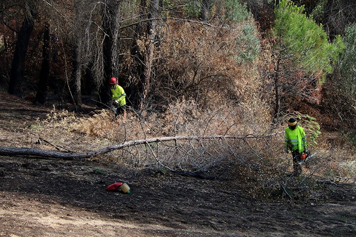 incendi de Castellví de Rosanes