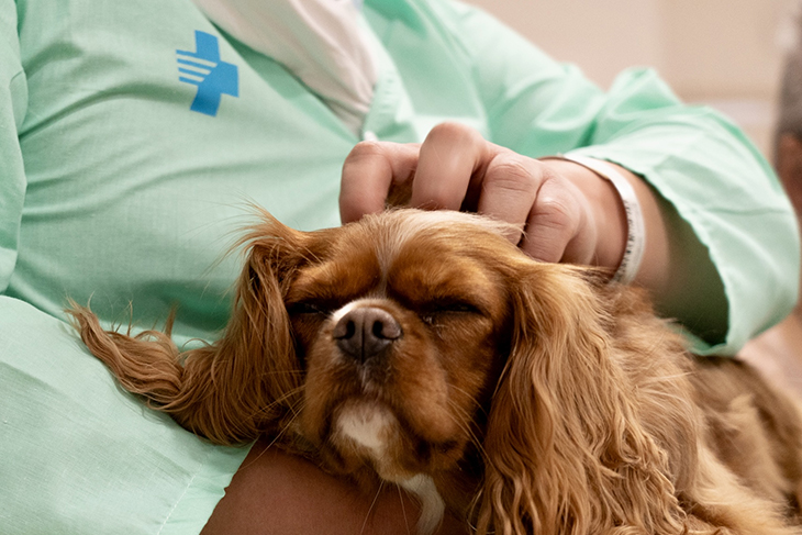 Bellvitge incorpora la teràpia amb gossos a psiquiatria