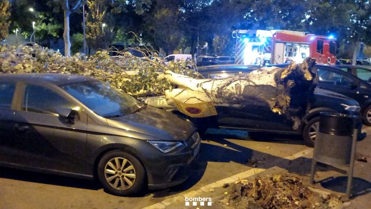 Dos vehicles malmesos per la caiguda d'un arbre de grans dimensions a Sant Boi de Llobregat