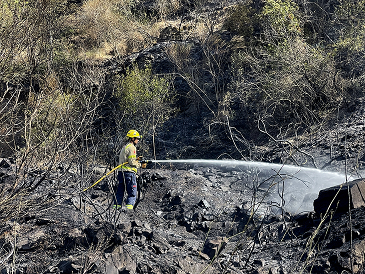 Els Bombers donen per extingit l'incendi de Cervelló que va confinar una urbanització