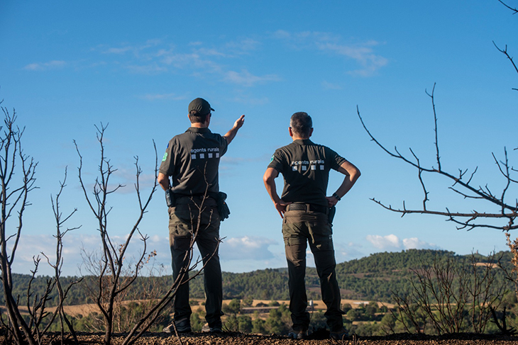 Agents Rurals denuncien un home a Cardedeu per atonyinar un senglar