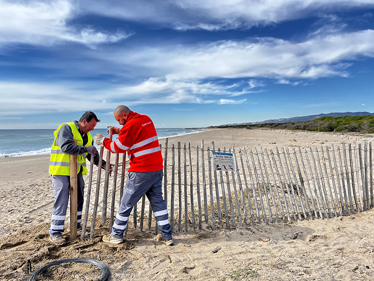 Tancada la platja del Remolar de Viladecans fins el juliol per afavorir la nidificació d'espècies protegides