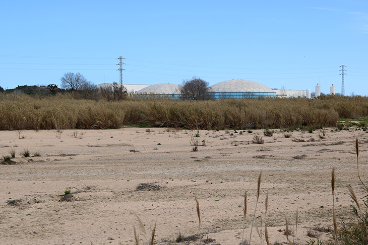 Palafolls construirà una mota al riu Tordera per reduir el risc d’inundacions a la zona i protegir la dessalinitzadora