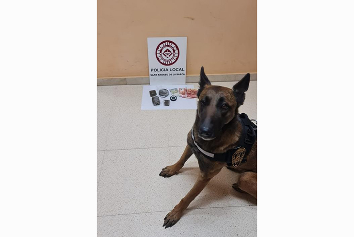 La Policia Local de Sant Andreu de la Barca deté una persona per tràfic de drogues