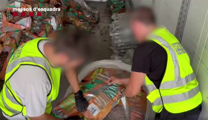 A presó tres homes que volien transportar 233 quilos de marihuana