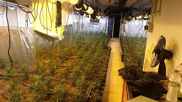 Desmantellat un cultiu de marihuana amb 450 plantes a l’interior d’un pis de Sant Adrià de Besòs