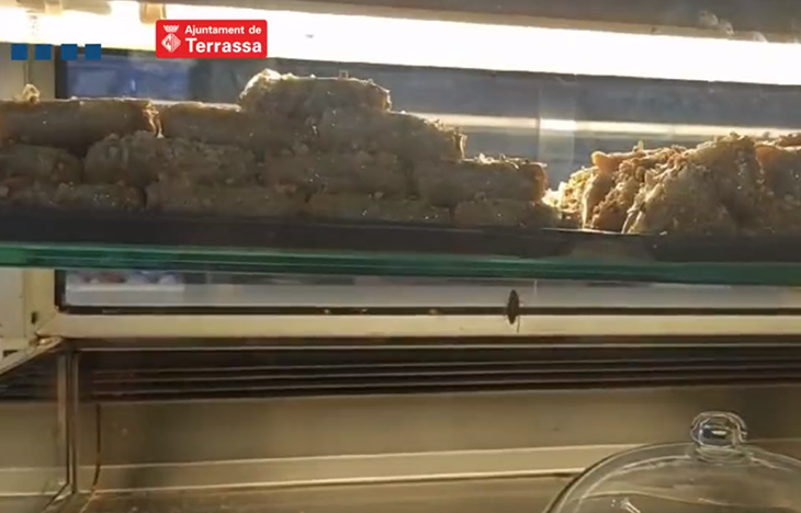 La policia tanca una pastisseria de Terrassa per una plaga de paneroles a l’obrador