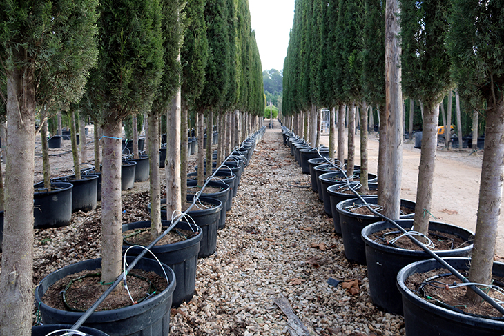 La Generalitat flexibilitza les restriccions per sequera a pagesos, ramaders i viveristes que fan ús eficient de l'aigua