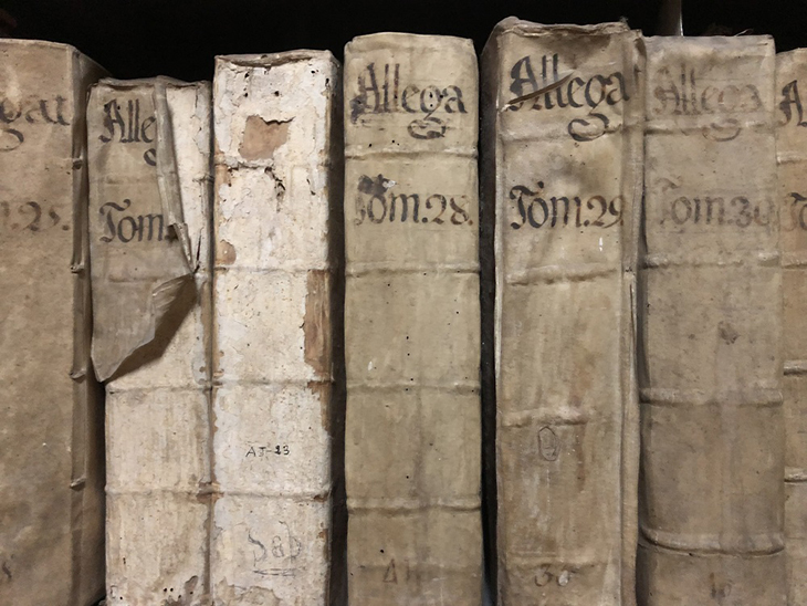 Un document testimonia una “guerra cultural” entorn de la bruixeria a la Catalunya de principis del segle XVII