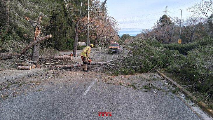 Els Bombers reben més de 350 avisos pel temporal de vent durant la nit i fins a les onze del matí