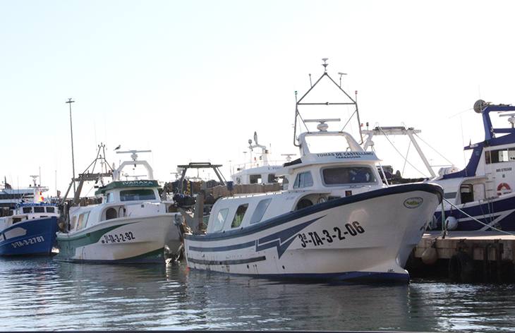 Barques amarrades i ports deserts durant la primera jornada d'aturada dels pescadors catalans