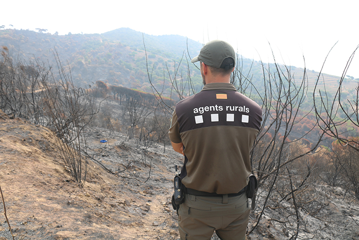 Activat el nivell 4 per perill extrem d'incendi a 37 municipis de 7 comarques