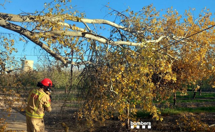 Els Bombers atenen més de mig miler d'avisos pel vent des de l'inici de l'episodi