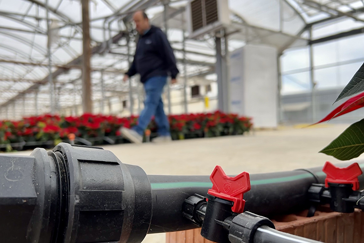 El sector de flor i planta reivindica la seva aposta per la sostenibilitat davant l'anunci de noves restriccions d'aigua