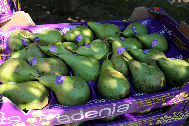 La Generalitat prepara un distintiu per acreditar l’origen dels aliments i begudes fets a Catalunya