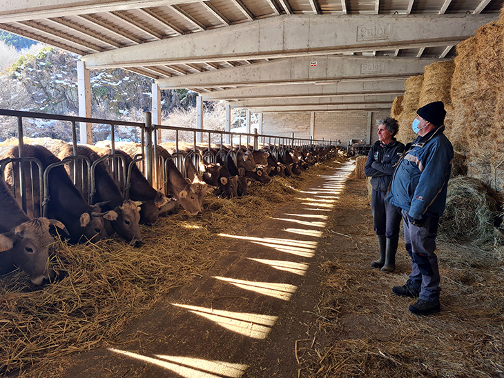 Lleida, Terres de l'Ebre, comarques Centrals i de Barcelona es recuperaran abans del xoc de la covid