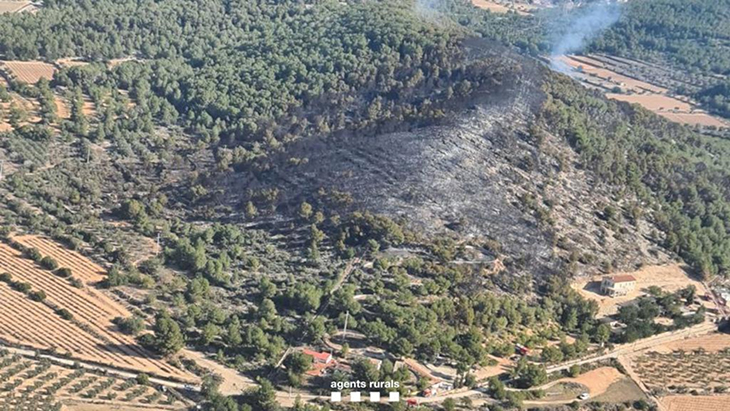 Els Agents Rurals desactiven aquest divendres el nivell 2 del Pla Alfa pel descens del perill d'incendi