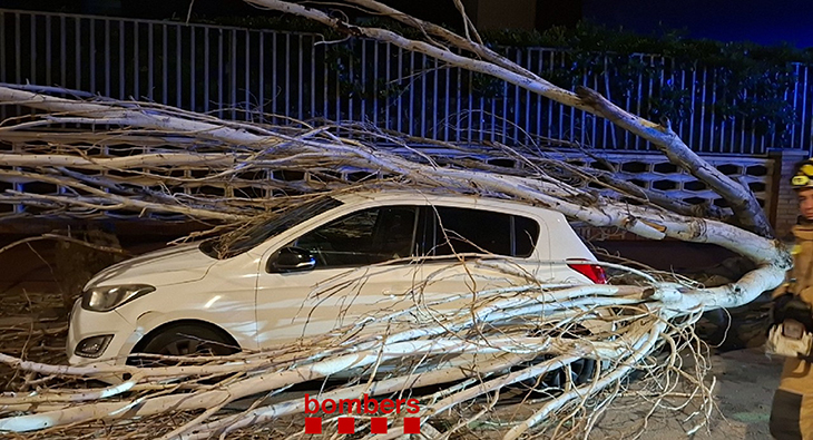 Els Bombers atenen 1.616 avisos relacionats amb el vent des de la mitjanit i el 112 n'acumula 3.163 per l'episodi