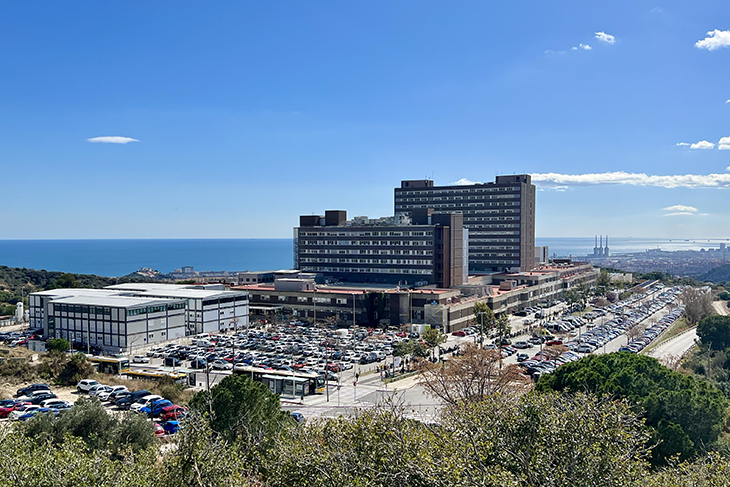 Confirmen que el cap humà trobat a Badalona és d'un veí de Vic desaparegut a finals de gener