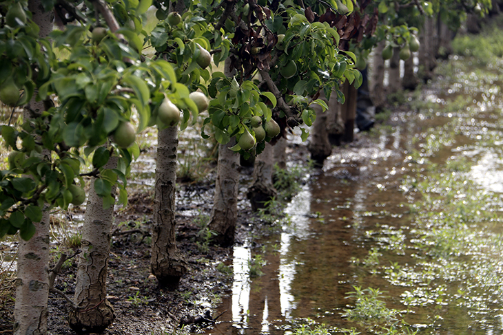 Experts alerten del malbaratament de l'aigua en el reg a manta i plantegen encarir-ne el preu en usos agrícoles
