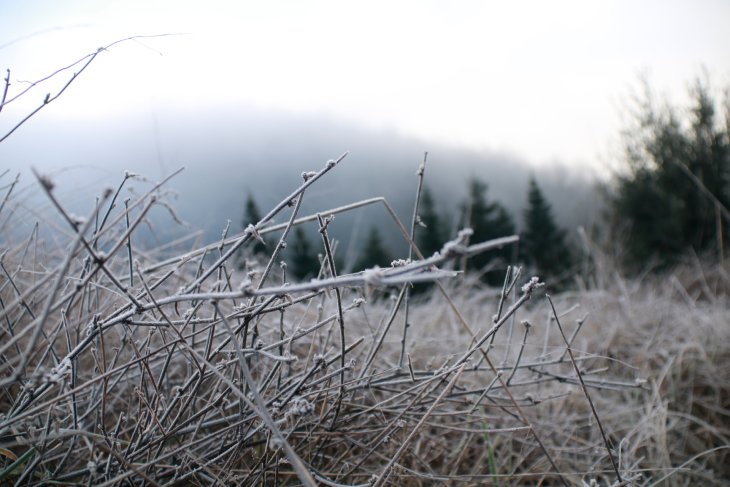 El fred i la glaçada protagonitzen el dia de Reis amb valors baixos com els -12 ºC de Das i Prades