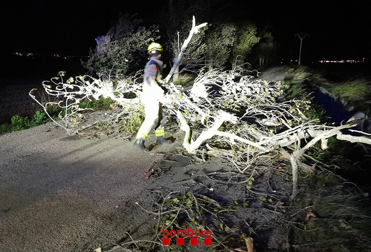 Els Bombers atenen 27 avisos pel fort vent en les últimes hores, la majoria per la caiguda de branques o arbres
