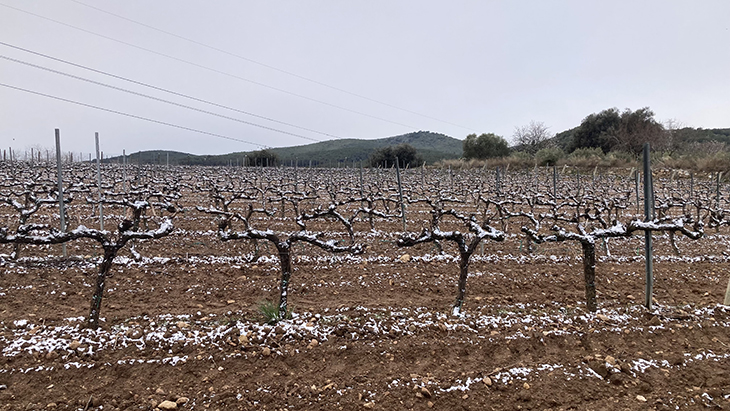 Protecció Civil desactiva l'alerta del pla Neucat un cop finalitzat l'episodi de nevades a cotes baixes
