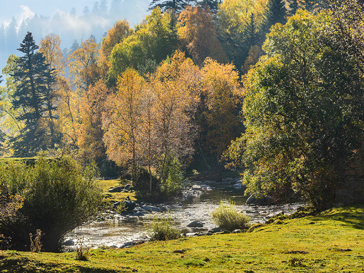 Els parcs naturals de la Generalitat inicien els actes de commemoració del Dia Europeu dels Parcs