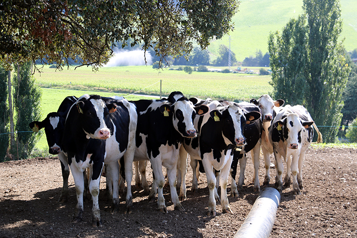 Constituïda la Fundació Institut de la Llet i els Productes Làctics de Catalunya