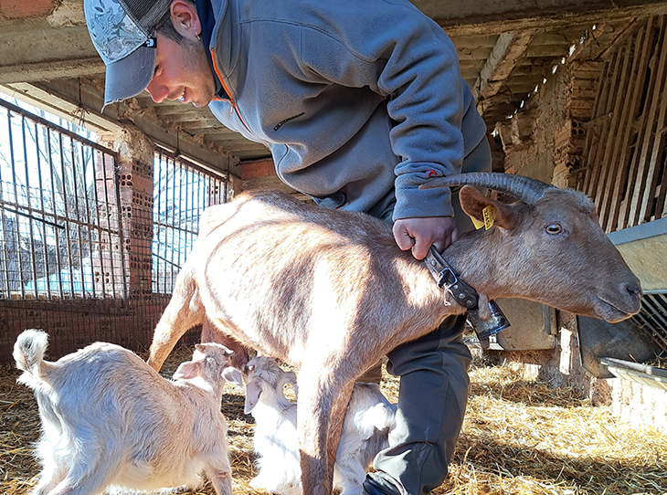 Les Escoles Agràries volen acompanyar i assessorar joves amb iniciatives viables en el sector agropecuari