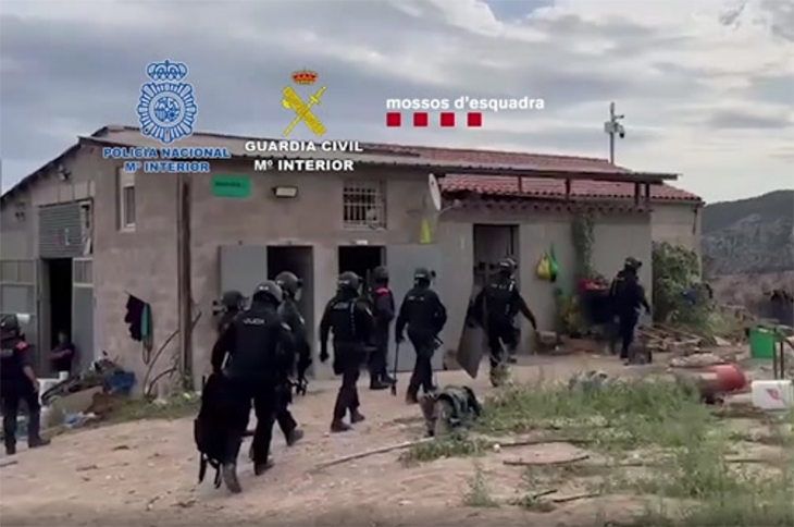 Intervenen més de 50 tones de marihuana en vuit plantacions que simulaven cultius legals al Maresme i Tarragona