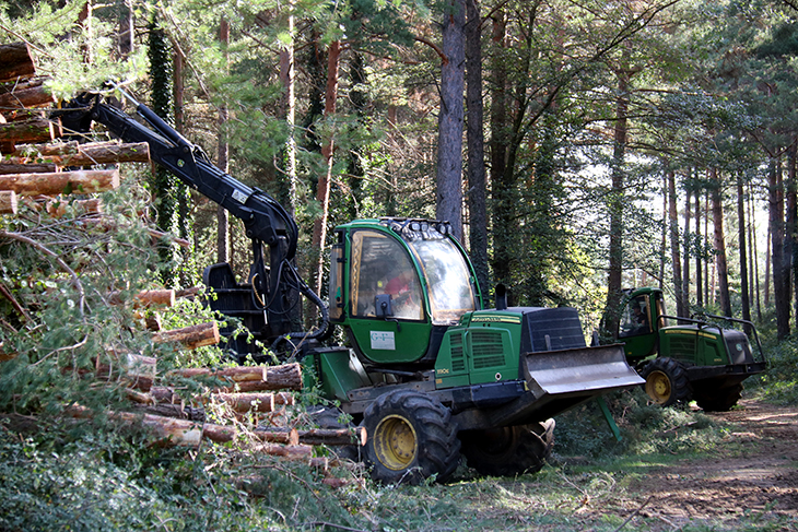 Empreses forestals denuncien ser víctimes d'actes vandàlics: "La gent només veu que tallem arbres"