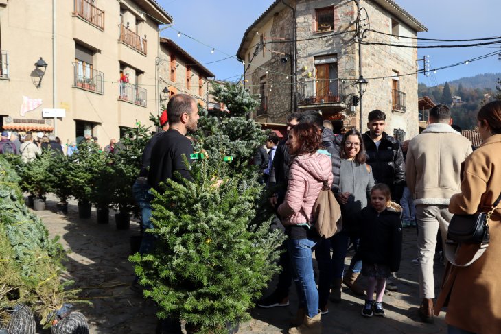 La Fira de l'Avet d'Espinelves registra un "rècord" de visitants el primer cap de setmana d'obertura
