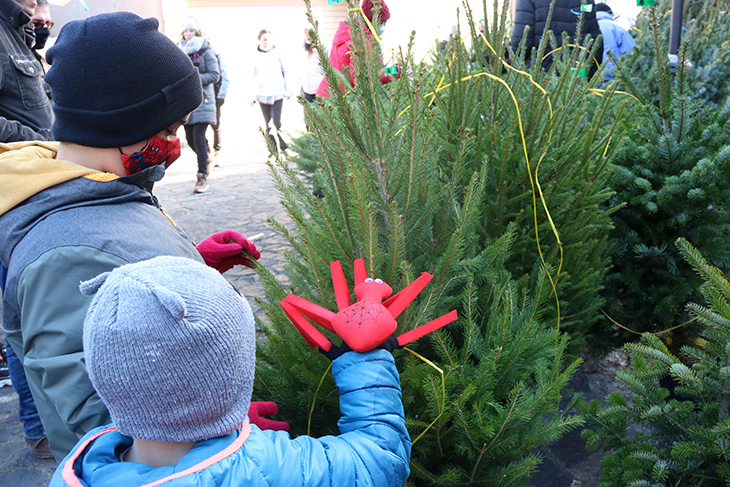 Espinelves manté el centenar de parades per la 41a Fira de l'Avet, deu de les quals seran d'arbres de Nadal