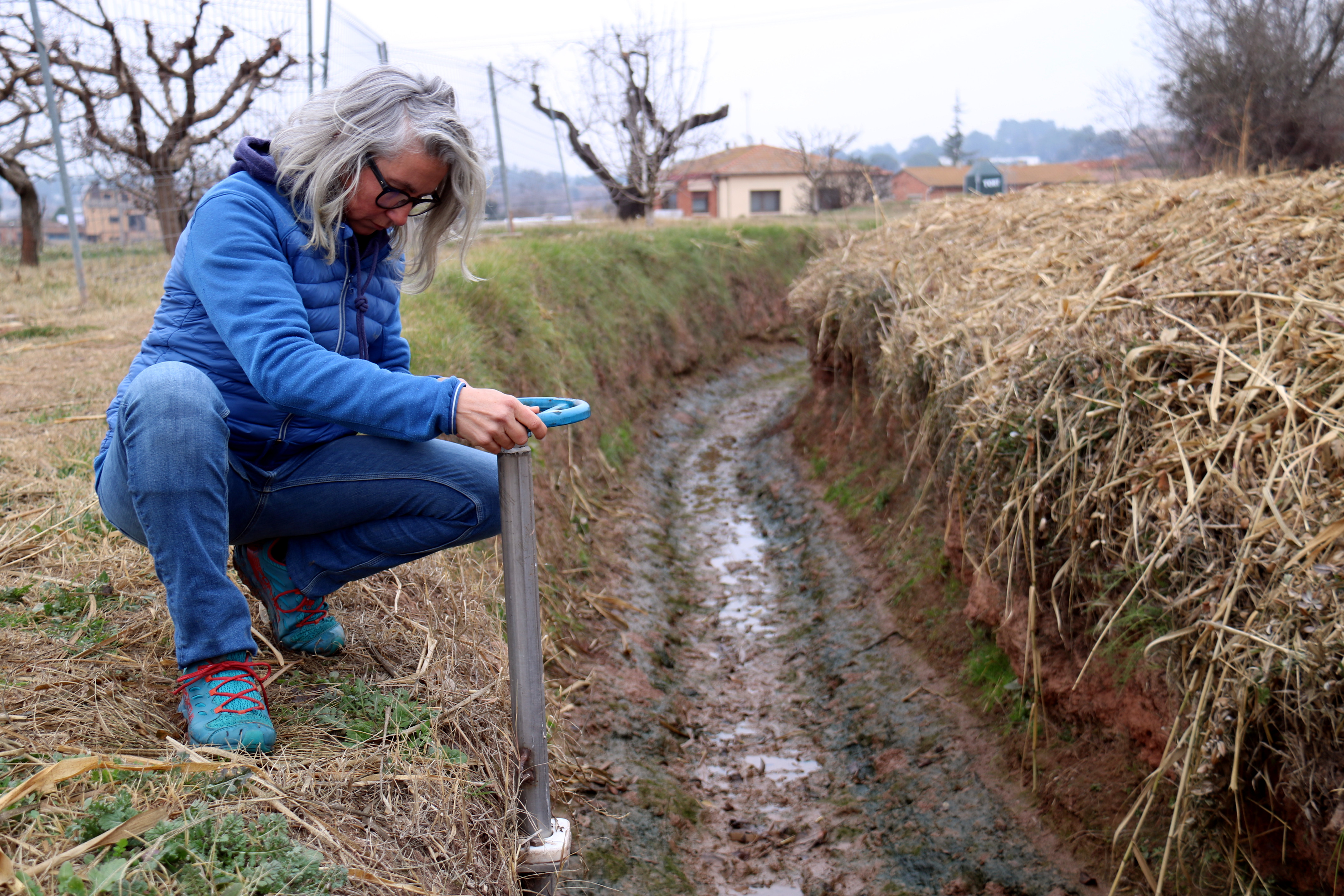 Els pagesos de Manresa, al "límit" per la sequera: "Si no baixa aigua, l'horta està morta"