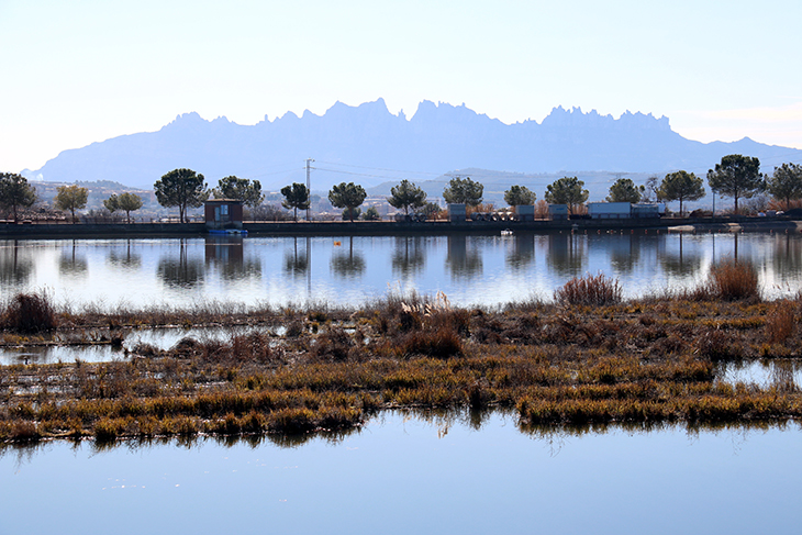 Manresa tanca el Parc de l'Agulla durant tres setmanes per unes obres que obliguen a buidar el llac