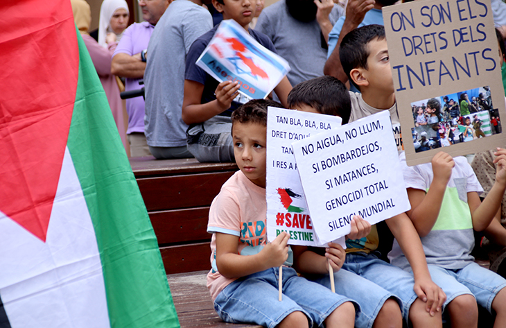 Unes 300 persones es concentren a Vic a favor del poble palestí i apel·len els governs a actuar per aturar el "genocidi"